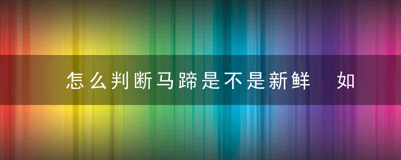 怎么判断马蹄是不是新鲜 如何判断马蹄是不是新鲜